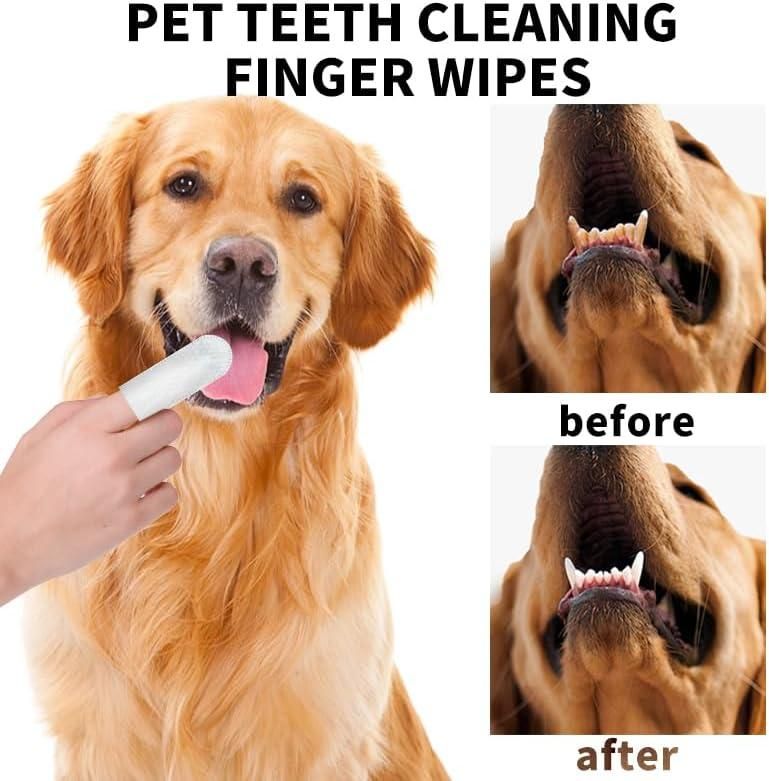 Binzaro Disposable Finger Wipes for Dogs & Cats – 50 Count | Dental, Ear, Eye & Paw Cleaning